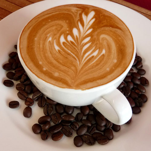 the perfect cup at Dorchester Festival Food Fair